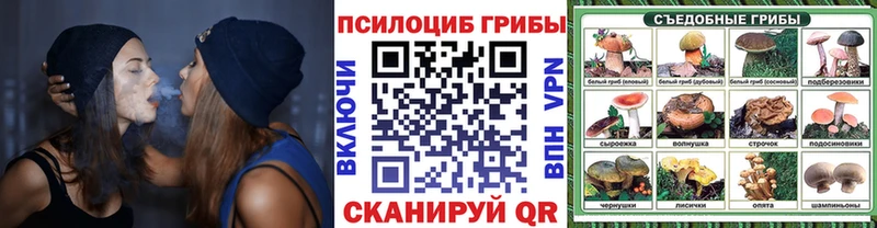 Галлюциногенные грибы Psilocybe  Пушкино 